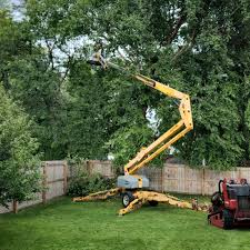 Professional  Tree Services in Greilickville, MI