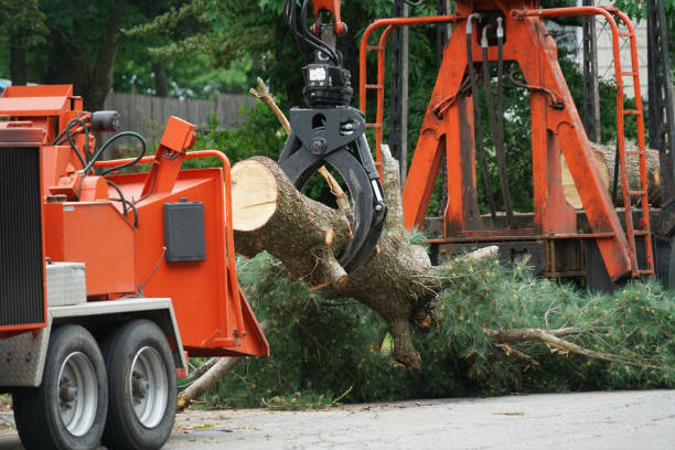 Leaf Removal in Greilickville, MI