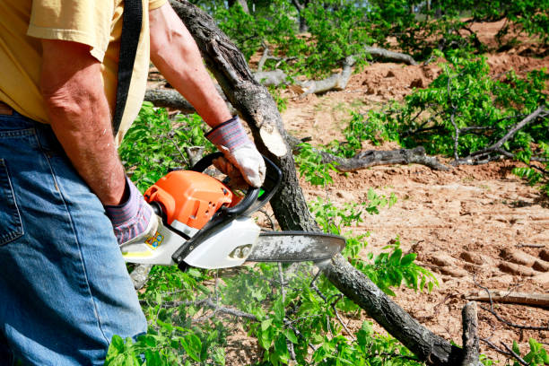  Greilickville, MI Tree Services Pros